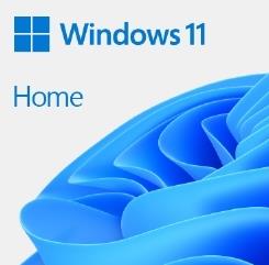 Windows 11 Home 64bit Japanese DSP DVD